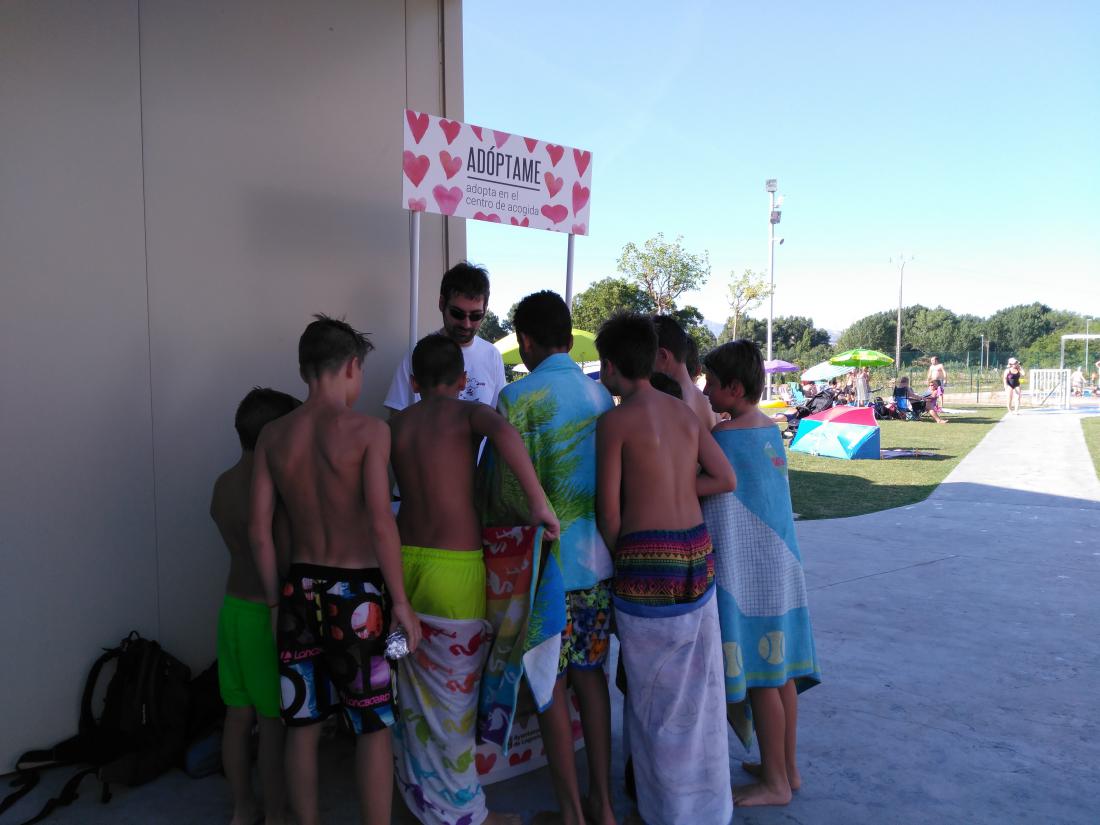 PISCINAS DE VAREA 28/07/2016