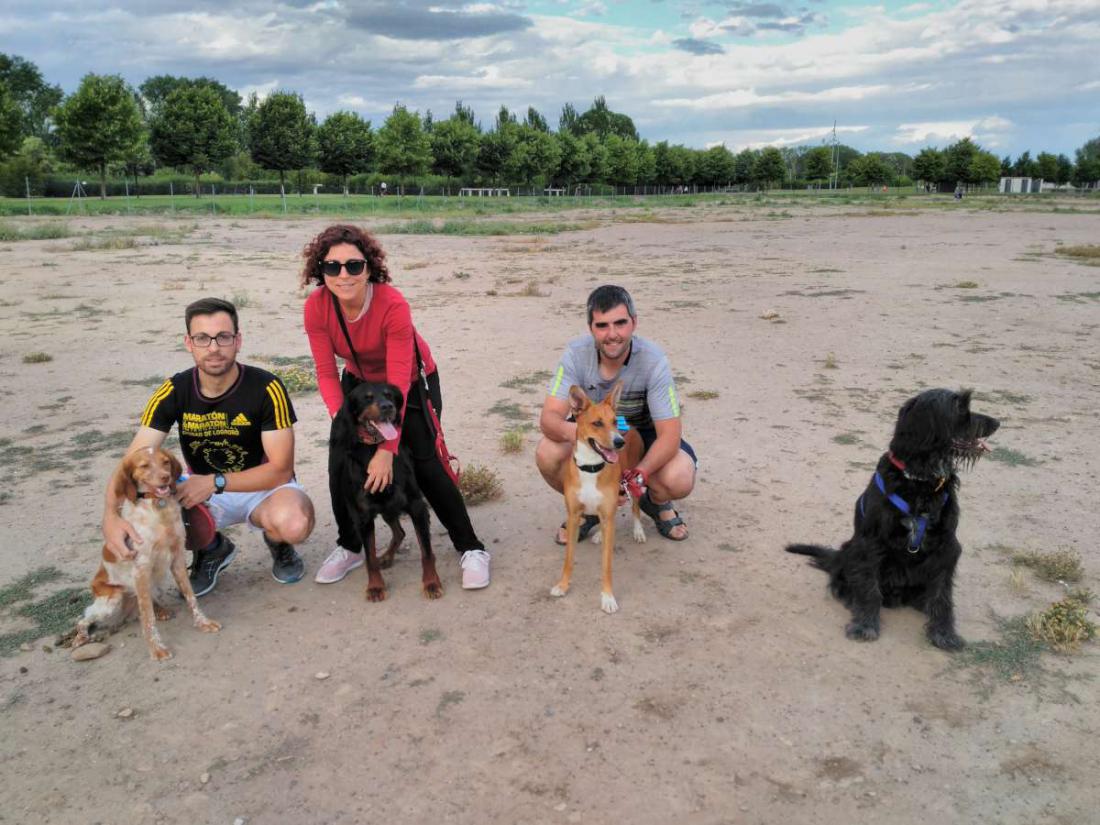 Área canina Paseo Prior